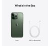 APPLE IPHONE 13 PRO 5G